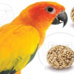 صادرات غذای مکمل برای پرندگان